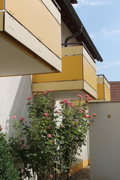 Hirschengarten Hotell Freiburg im Breisgau Eksteriør bilde